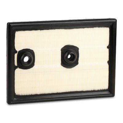 Air Filter RIDEX 8A0321 8A0321 - photo 8