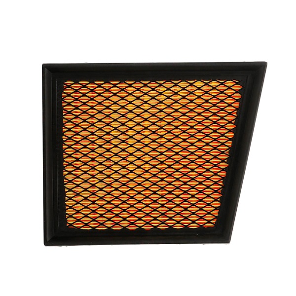 Air Filter RIDEX 8A0250P 8A0250P - photo 1