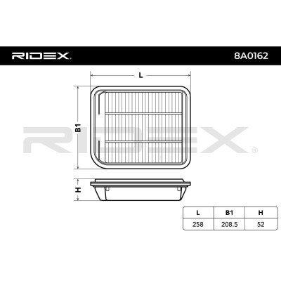 Air Filter RIDEX 8A0162 8A0162 - photo 6