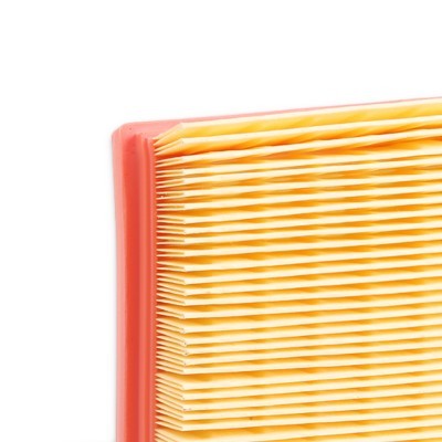 Air Filter RIDEX 8A0088 8A0088 - photo 5
