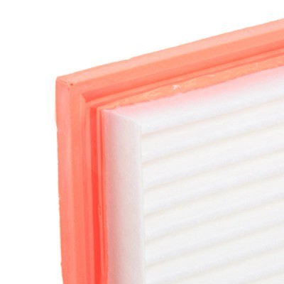 Air Filter RIDEX 8A0643 8A0643 - photo 5