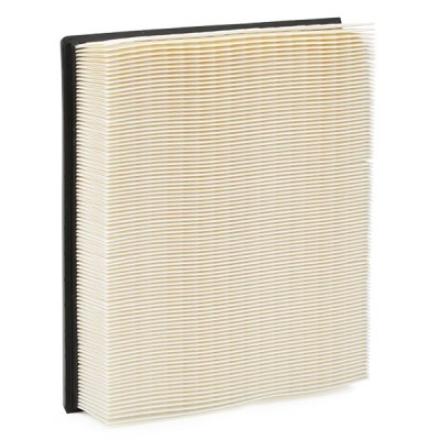 Air Filter RIDEX 8A0034 8A0034 - photo 6