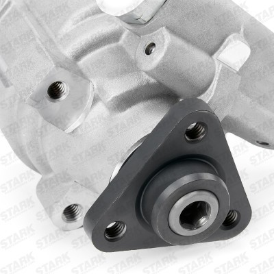 Hydraulic Pump, Steering System Stark SKHP-0540857 SKHP-0540857 - photo 6