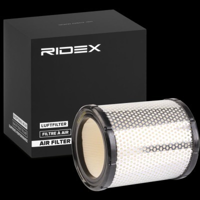 Air Filter RIDEX 8A0106 8A0106 - photo 2