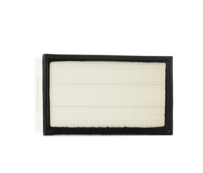 Air Filter RIDEX 8A0015 8A0015 - photo 1
