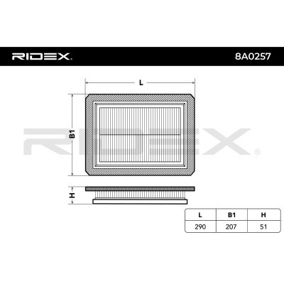 Air Filter RIDEX 8A0257 8A0257 - photo 6