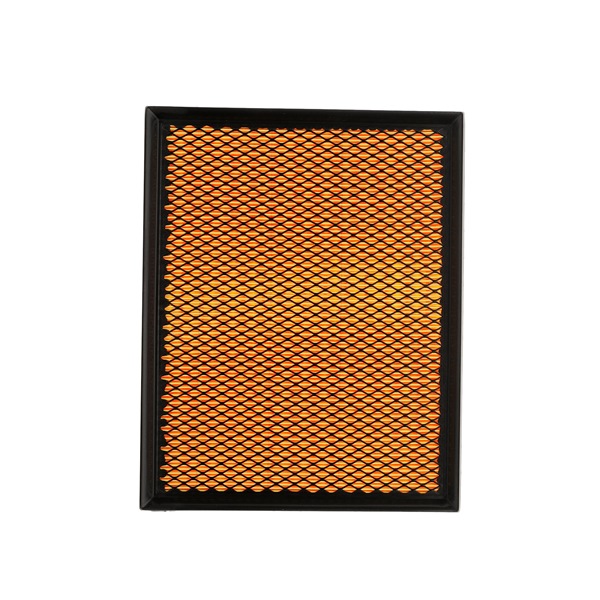 Air Filter RIDEX 8A0005P 8A0005P - photo 1