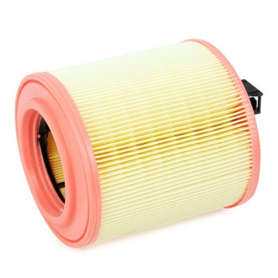 Air Filter RIDEX 8A0809 8A0809 - photo 4