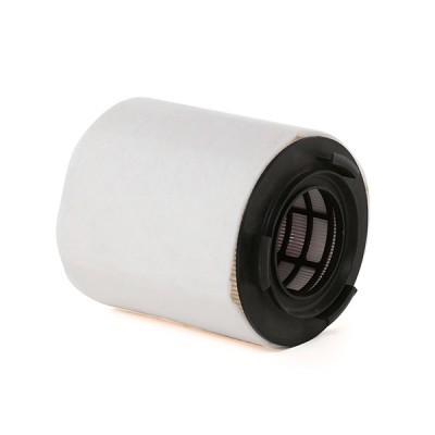 Air Filter RIDEX 8A0167 8A0167 - photo 3