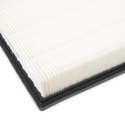 Air Filter RIDEX 8A0189 8A0189 - photo 5