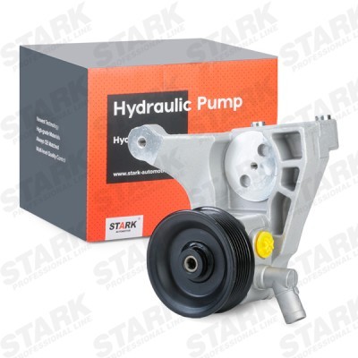 Hydraulic Pump, Steering System Stark SKHP-0540160 SKHP-0540160 - photo 2