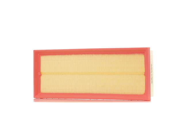 Air Filter RIDEX 8A0689 8A0689 - photo 1