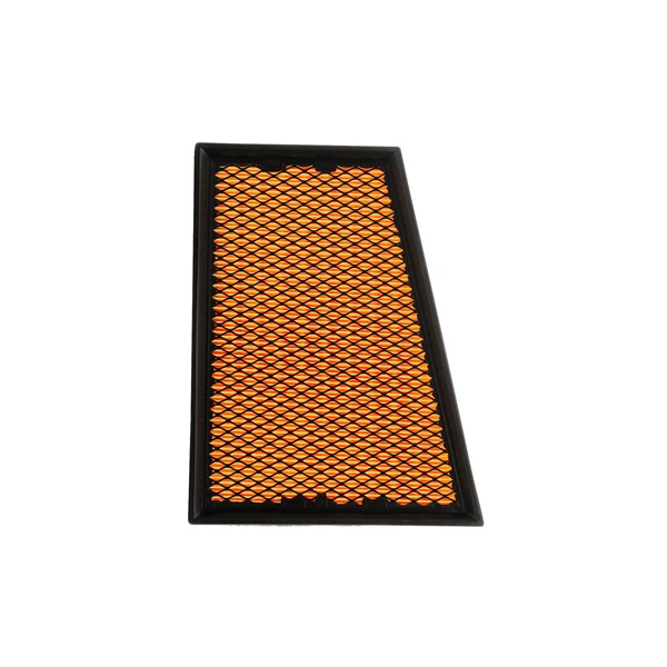 Air Filter RIDEX 8A0251P 8A0251P - photo 1