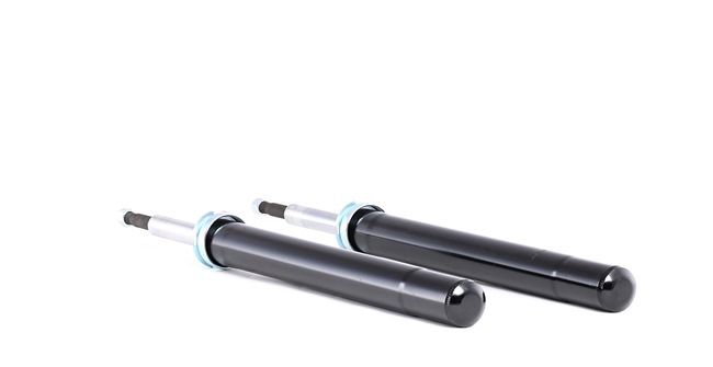 Shock Absorber RIDEX 854S1860 854S1860 - photo 1