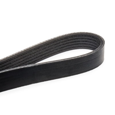 V-Ribbed Belt RIDEX 305P0142 305P0142 - photo 5