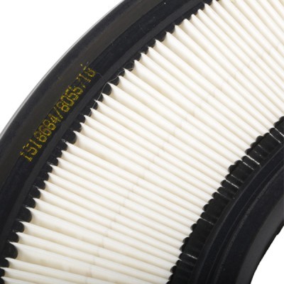 Air Filter RIDEX 8A0498 8A0498 - photo 5