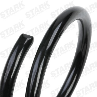 Suspension Spring Stark SKCS-0040073 SKCS-0040073 - photo 5