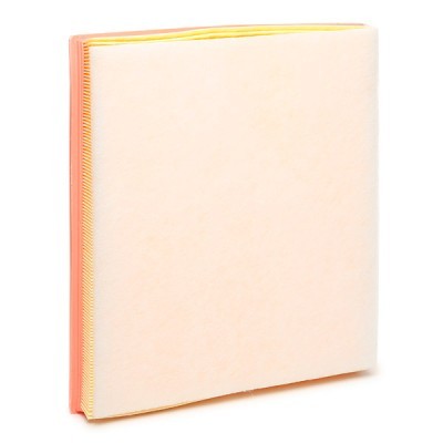 Air Filter RIDEX 8A0704 8A0704 - photo 4