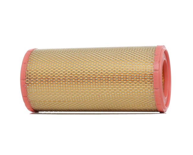 Air Filter RIDEX 8A0424 8A0424 - photo 1