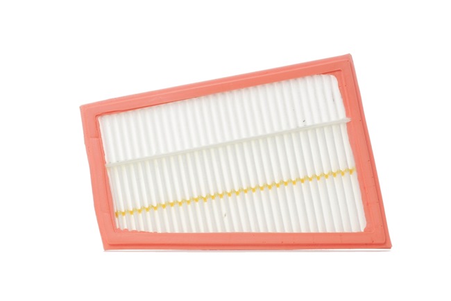 Air Filter RIDEX 8A0645 8A0645 - photo 1