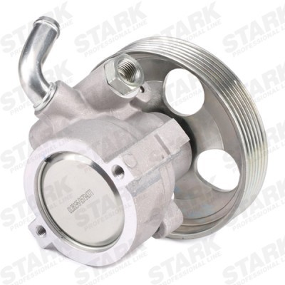 Hydraulic Pump, Steering System Stark SKHP-0540251 SKHP-0540251 - photo 4