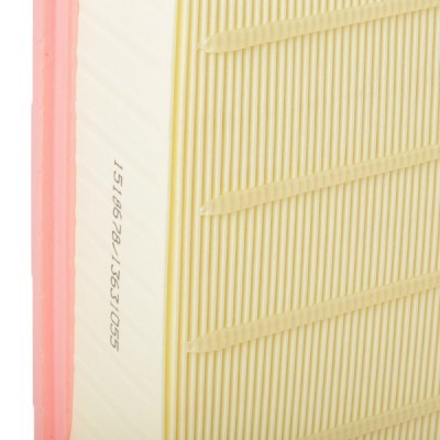 Air Filter RIDEX 8A0599 8A0599 - photo 5
