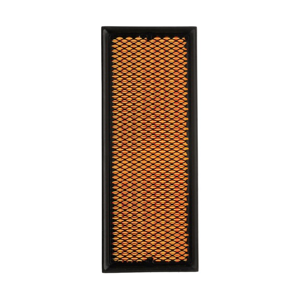 Air Filter RIDEX 8A0086P 8A0086P - photo 1