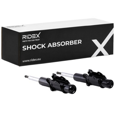 Shock Absorber RIDEX 854S2198 854S2198 - photo 2