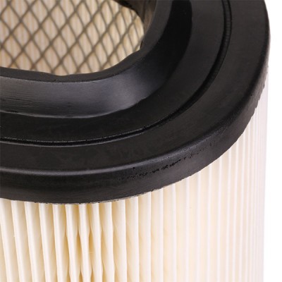 Air Filter RIDEX 8A0253 8A0253 - photo 5