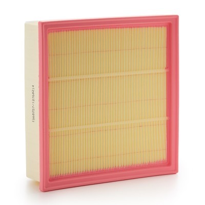 Air Filter RIDEX 8A0657 8A0657 - photo 3