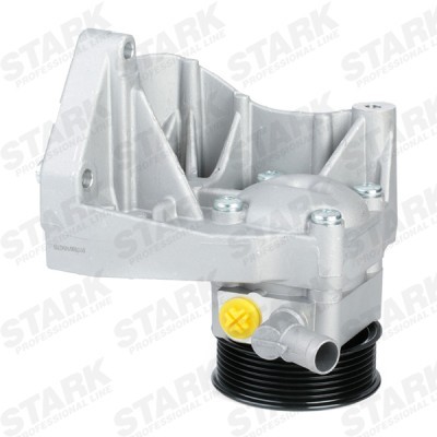 Hydraulic Pump, Steering System Stark SKHP-0540160 SKHP-0540160 - photo 5