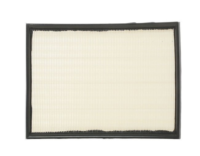 Air Filter RIDEX 8A0052 8A0052 - photo 1
