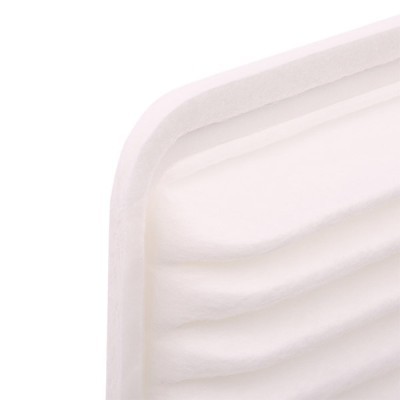 Air Filter RIDEX 8A0373 8A0373 - photo 5