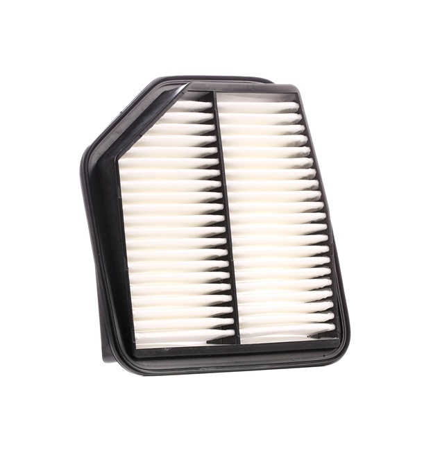 Air Filter RIDEX 8A0501 8A0501 - photo 1