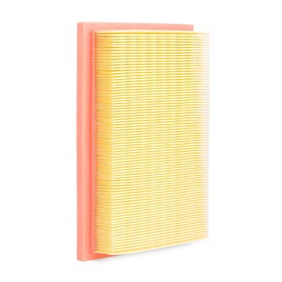 Air Filter RIDEX 8A0392 8A0392 - photo 4