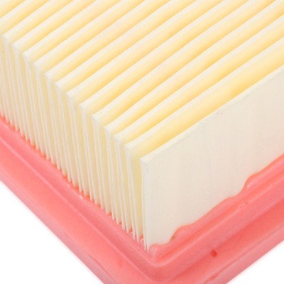 Air Filter RIDEX 8A0361 8A0361 - photo 5