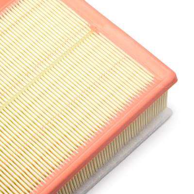 Air Filter RIDEX 8A1613 8A1613 - photo 10