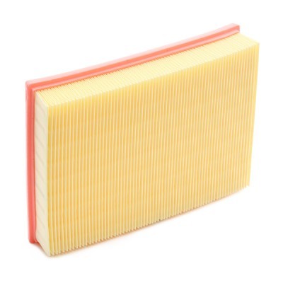 Air Filter RIDEX 8A0409 8A0409 - photo 4