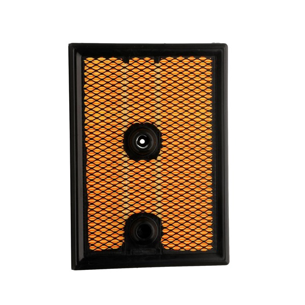 Air Filter RIDEX 8A0321P 8A0321P - photo 1