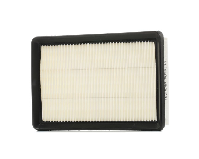 Air Filter RIDEX 8A0207 8A0207 - photo 1