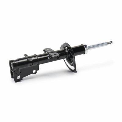 Shock Absorber RIDEX 854S2556 854S2556 - photo 5