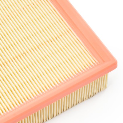 Air Filter RIDEX 8A1018 8A1018 - photo 10