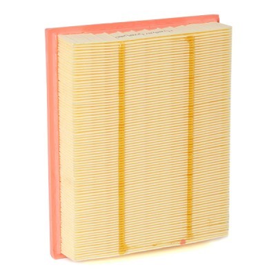 Air Filter RIDEX 8A0679 8A0679 - photo 4