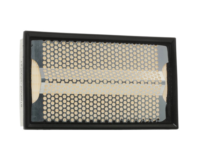 Air Filter RIDEX 8A0335 8A0335 - photo 1
