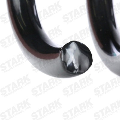 Suspension Spring Stark SKCS-0040421 SKCS-0040421 - photo 4