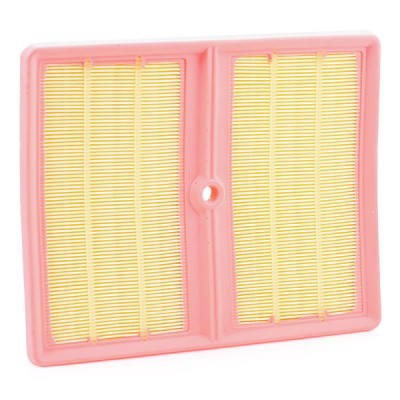 Air Filter RIDEX 8A0794 8A0794 - photo 4