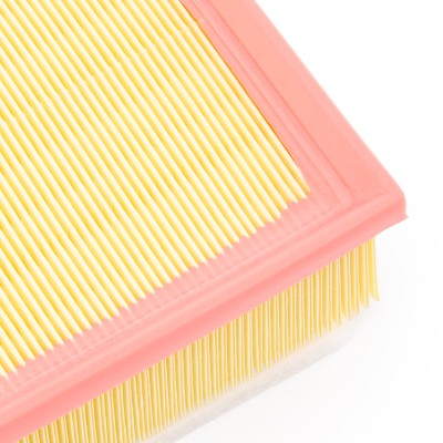 Air Filter RIDEX 8A1305 8A1305 - photo 10