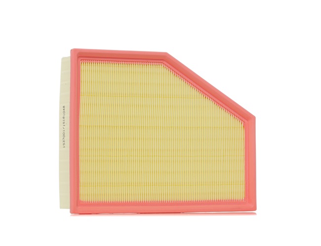 Air Filter RIDEX 8A0874 8A0874 - photo 1