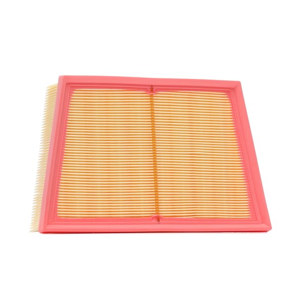 Air Filter RIDEX 8A0976 8A0976 - photo 1