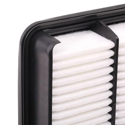 Air Filter RIDEX 8A0451 8A0451 - photo 5